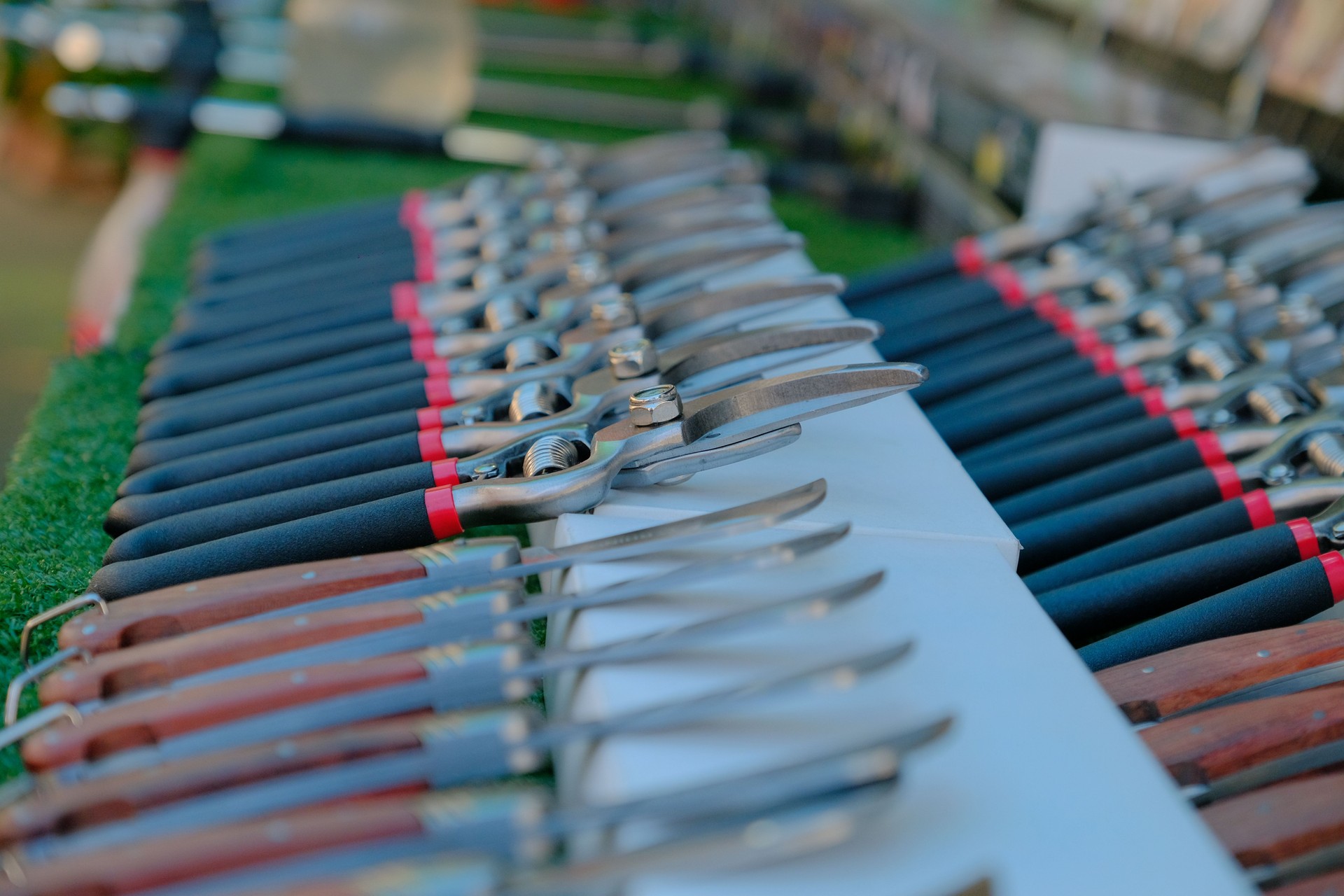 Scissors for cutting branches